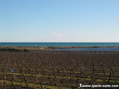 véliplanchistes sur mare nostrum